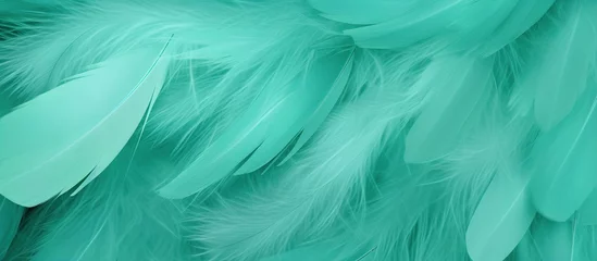 Fotobehang Beautiful soft green turquoise feather texture background. Animal hair concept. © Alpa