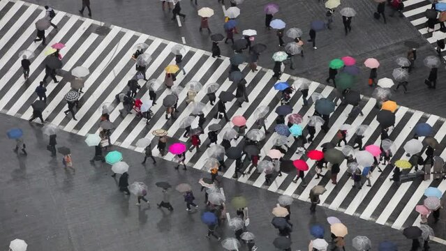 hibuya shibuya crossing crowds of people crossing the famous crosswalks