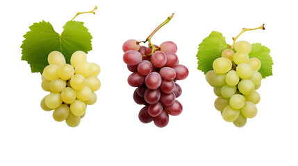 Grape Collection: Realistic 3D Digital Art Illustrations Isolated on Transparent Background, Perfect for Graphic Design Projects and Fresh Fruit Concepts.