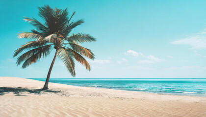 Palm tree on the beautiful white beach and blue ocean.	
