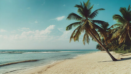 Palm tree on the beautiful white  beach and blue ocean.