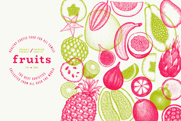 Tropical Fruit Design Template. Vector Hand Drawn Exotic Fruit Banner. Vintage Style Menu Illustration. - 745863918