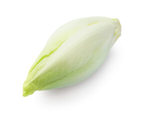 One raw ripe chicory isolated on white