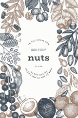 Hand Drawn Nuts Branch And Kernels  Template. Organic Seed Vector Design. Retro Nut Illustration. Engraved Style Botanical Banner. - 745863996