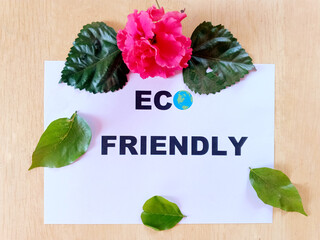Eco Friendly letter displayed on paper with flower and leaves in decorative way. isolated on desk...