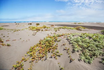 Fototapeten North Chile coast © Galyna Andrushko
