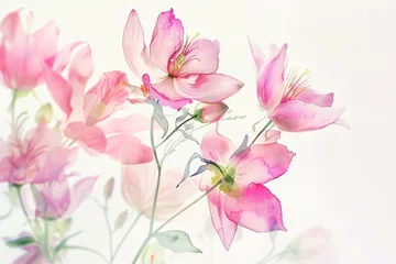 Foto op Canvas Watercolor botanical art summer pink flowers on white background, horizontal banner © Yulia