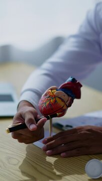 Vertical footage of doctor explaining each part of heart model veins and coronary artery and cardiology to patient and medical student in hospital