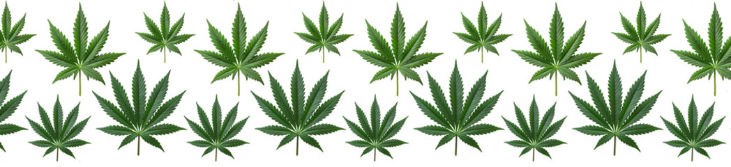 Green cannabis leafs pattern. - obrazy, fototapety, plakaty
