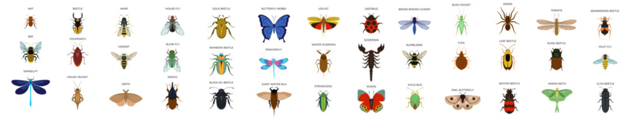 Set of insects flat style design icons - obrazy, fototapety, plakaty