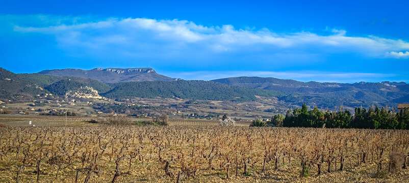 paysage de vignes près du ville de Rasteau dans le Vaucluse (France)