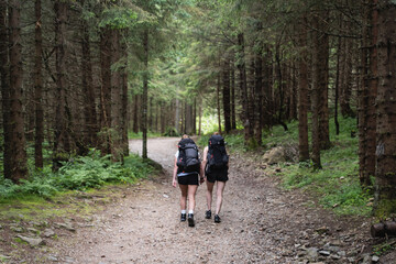 Two girls travelers go hiking with backpacks on their backs on a hike in the forest. - obrazy, fototapety, plakaty