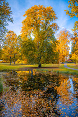 Trees and pond with autumn colors
