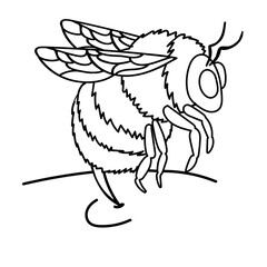 Illustration of Bumblebee Sting
