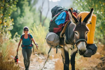   hiker with a donkey carrying camping gear  © Denis