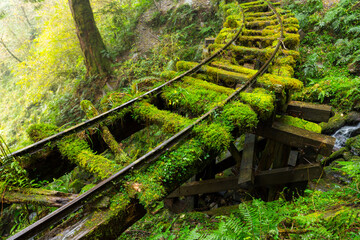 Hiking trail in Taipingshan of Yilan Jianqing Huaigu Trail