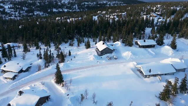 Traditional wooden houses on a mountain slope covered in thick layer of fresh white snow, surrounded by grand spar or pine trees during sunset in Sweden, Scandinavia, Europe 