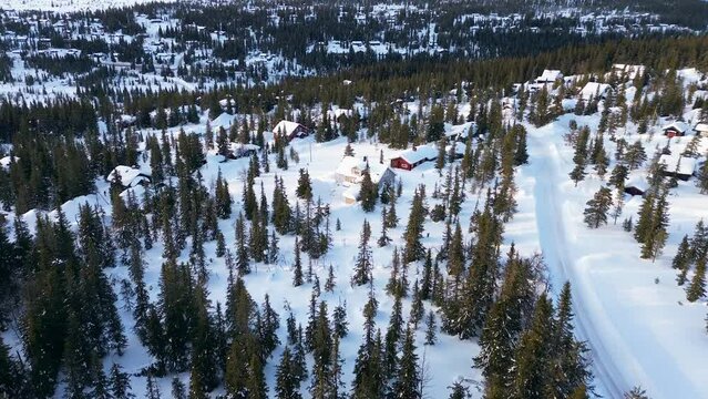 Traditional wooden houses on a mountain slope covered in thick layer of fresh white snow, surrounded by grand spar or pine trees during sunset in Sweden, Scandinavia, Europe 