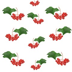 viburnum, food, healthy