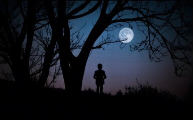 the mesmerizing interplay between moonlight and silhouettes.