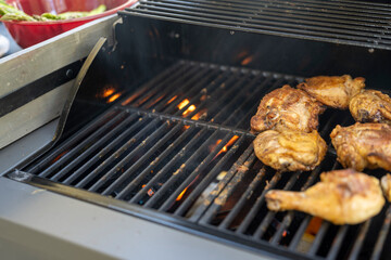 grilled meat on the grill