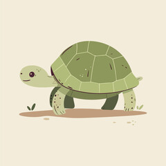 flat turtle illustration cartoon style
