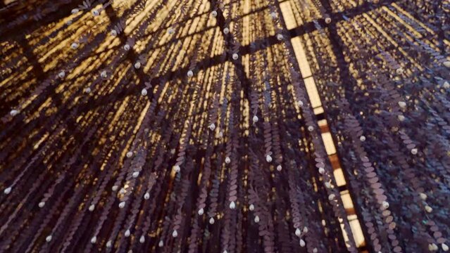 4k, A bottom-up view of the numerous garland necklaces, monisto dangling from the ceiling of the Bab Al Bahrain Bazaar, at daytime, Manama, Bahrain