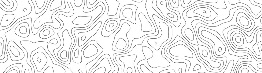 abstract white wave paper curved reliefs background. Topography map pattern, Geographic curved, vector illustration. seamless textrue, vintage waves. Panorama view multicolor wave curve line.