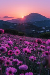 Picturesque Landscape at Dusk: Pink Wildflower-Covered Hillside, Sun Setting Behind Mountains, Sky in Purple and Orange Hues