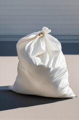 Garbage Bag Ready for Disposal on a Clean Background