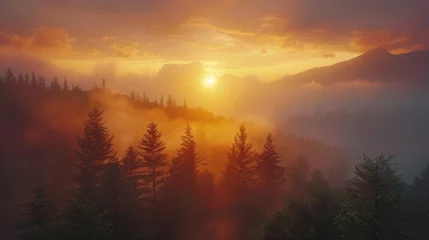 Fotobehang Majestic Mountain Sunrise: Ablaze Sky Casting Radiant Glow Over Dense, Mist-Enveloped Forest © Landscape Planet