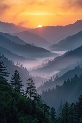 Radiant Dawn: Breathtaking Sunrise Illuminates Rugged Mountain Peaks and Misty Forest Below