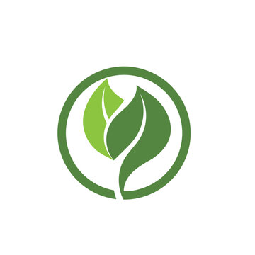  green Tree leaf ecology nature logo element vector image