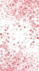 Cherry blossom isolated on white. AI generated art illustration.