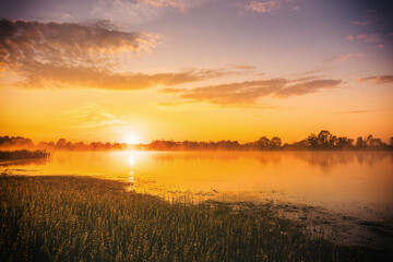 Sunrise or dawn above the pond or lake at spring or early summer morning with cloudy sky, fog over...