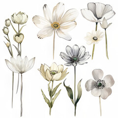 Floral Plant Background