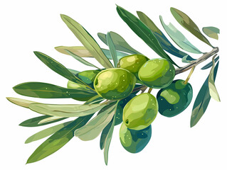 Olive branch with olives against white background