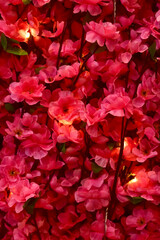 Close-up of the artificial pink flowers with lighting. Flower decoration. Flower background.