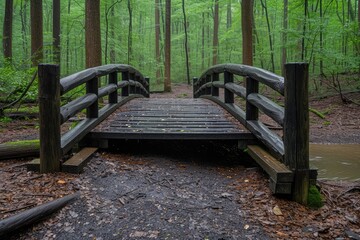 Fototapeta premium Serene Forest Path: Rustic Wooden Footbridge in Verdant Canopy