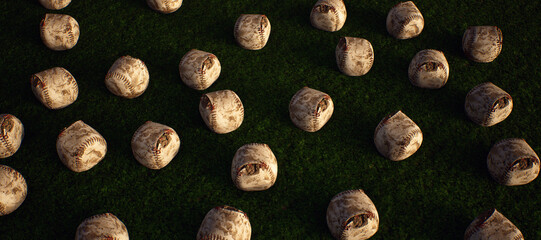 Collection of worn old baseballs on artificial grass. Lit by sunlight. - 745931149