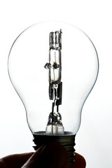electric bulb with halogen filament on white background