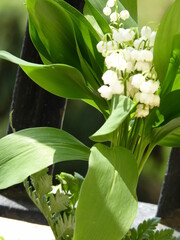 Fototapeta premium Un brin de muguet pour le 1er mai