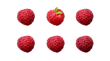 Raspberries Collection: Vibrant, Juicy Fruit Over Transparent Background - Organic Berry Snack & Dessert Ingredients