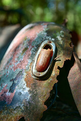 Details of Old cars in wild nature on the Kyrko Mosse Car Cemetery, former junkyard, in the forest,...