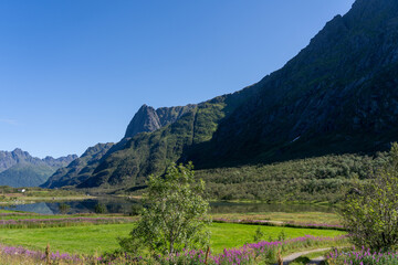 Paesaggi lofoten & vesteralen 