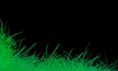 Waving Grass on a black background.Landscape summer for the background.Abstract black background with green grass created by graphics program.