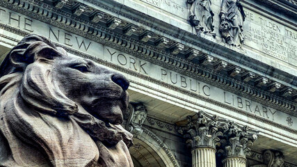 To the left of the entrance we find Patience the lion, guarding the New York Public Library, one of...