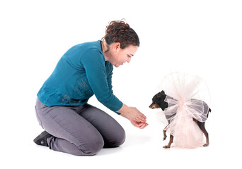 miniature pinscher and woman in studio