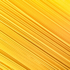 Background Spaghetti Pasta