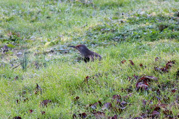 Waterdrop Flicker 01